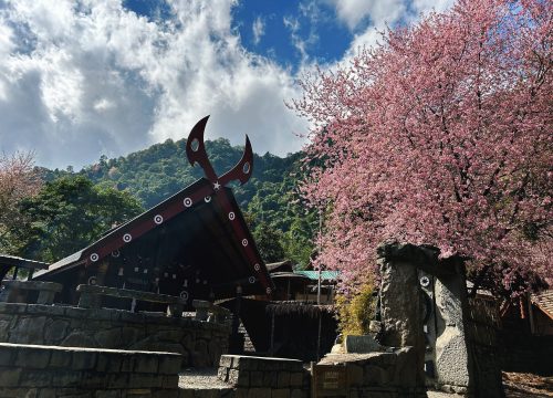 Hornbill Festival & Dzukou Valley Trek 2024