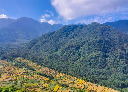 EXPLORE NAGALND -The Hornbill Festival & its Enchanted Wilderness