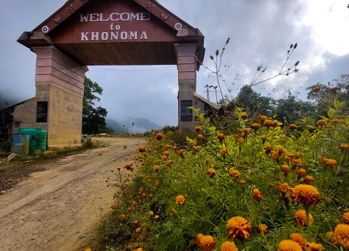 Hornbill Festival & Khonoma Dzuleke with Kohima Sightseeing 2024