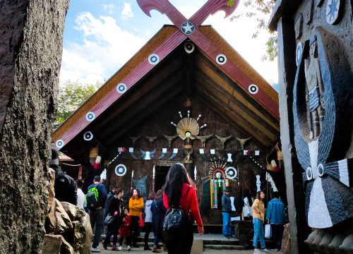 HORNBILL FESTIVAL to DZUKOU VALLEY
