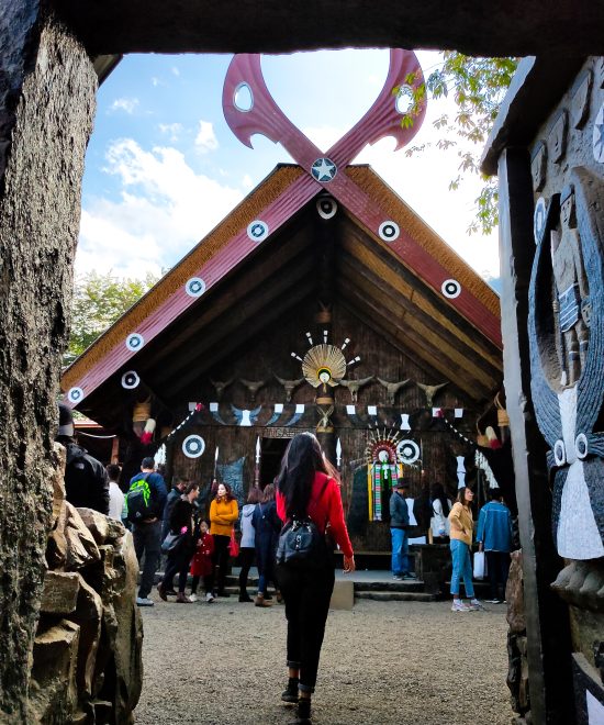 HORNBILL FESTIVAL to DZUKOU VALLEY