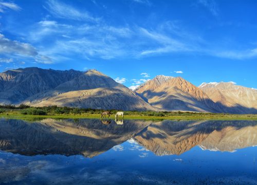 Exquisite LADAKH