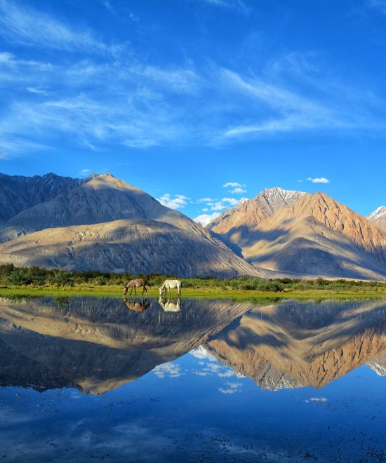 Exquisite LADAKH