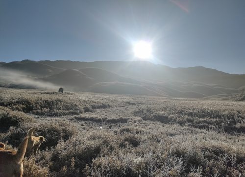 Winter Trek - Dzukou Valley