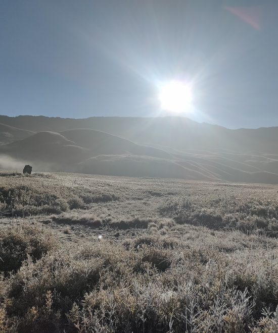 Winter Trek - Dzukou Valley
