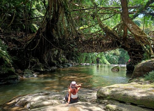 Best of Meghalaya - Major Attractions