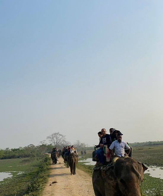 Kaziranga National Park