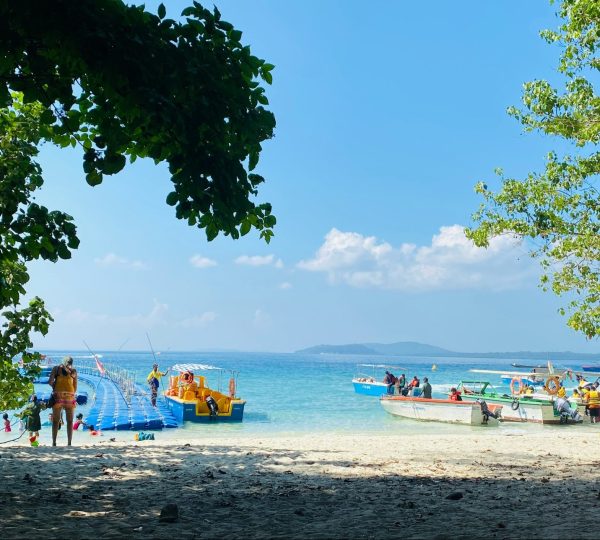 Picturesque beach view in the Andaman Nicobar Islands with boats docked near the shore, framed by lush green trees and a clear blue sky.