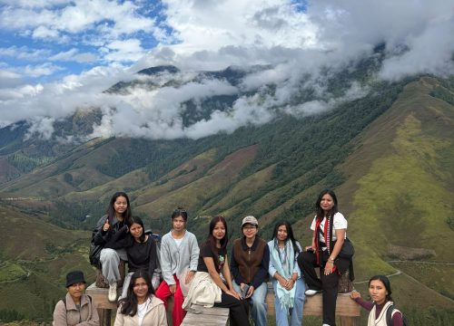 Splendid -Dibang Valley